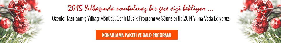 2014 Yeni Yıl Programı, Yılbaşı Programı