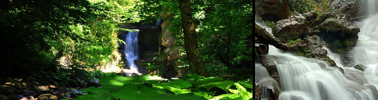 Akçakoca Görülecek Yerler Sarı Yayla Şelalesi